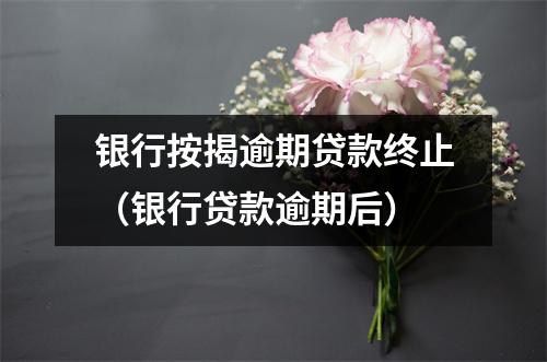 银行按揭逾期贷款终止（银行贷款逾期后）