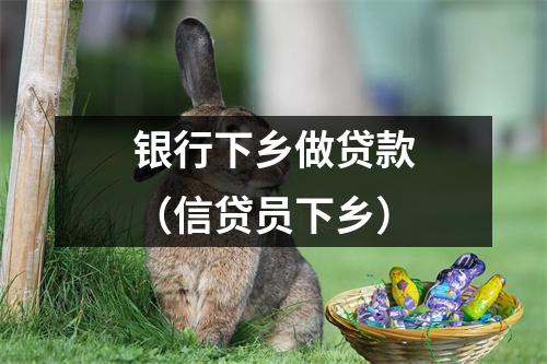 银行下乡做贷款（信贷员下乡）