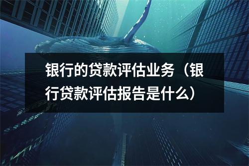 银行的贷款评估业务(银行贷款评估报告是什么)