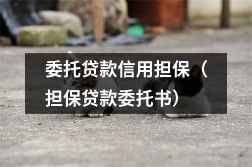 委托贷款信用担保（担保贷款委托书）