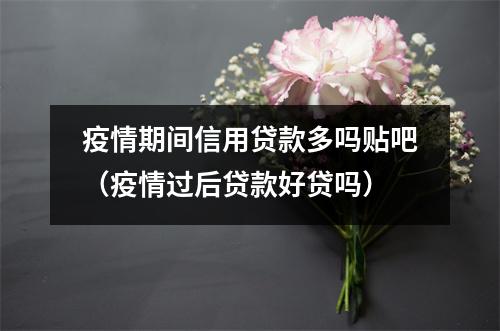 疫情期间信用贷款多吗贴吧（疫情过后贷款好贷吗）