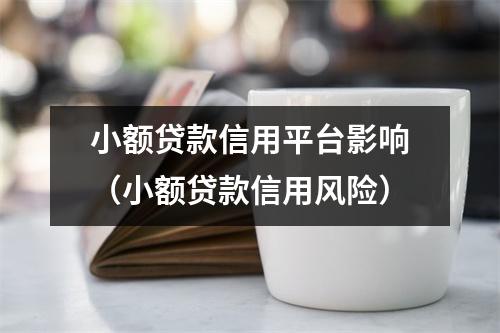 小额贷款信用平台影响（小额贷款信用风险）