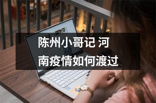 陈州小哥记 河南疫情如何渡过