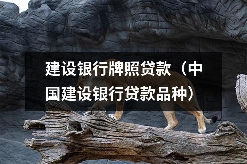建设银行牌照贷款（中国建设银行贷款品种）