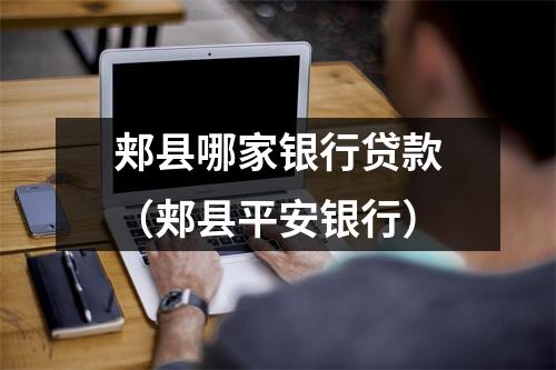 郏县哪家银行贷款（郏县平安银行）