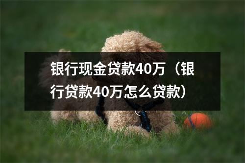 银行现金贷款40万（银行贷款40万怎么贷款）