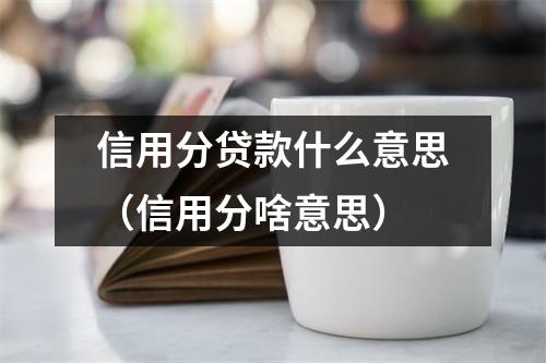 信用分贷款什么意思（信用分啥意思）