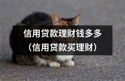 信用贷款理财钱多多（信用贷款买理财）