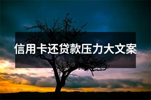 信用卡还贷款压力大文案