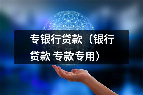 专银行贷款（银行贷款 专款专用）