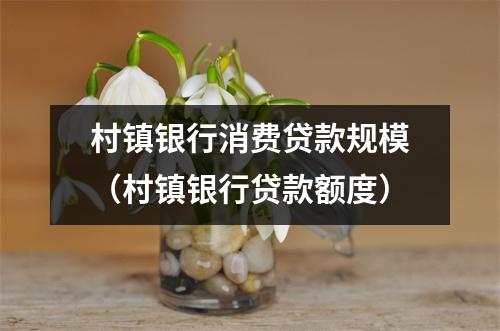 村镇银行消费贷款规模（村镇银行贷款额度）