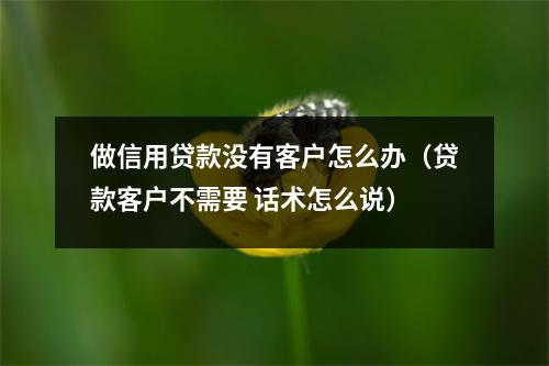 做信用贷款没有客户怎么办（贷款客户不需要 话术怎么说）