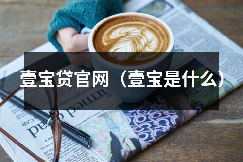 壹宝贷官网（壹宝是什么）