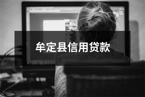 牟定县信用贷款