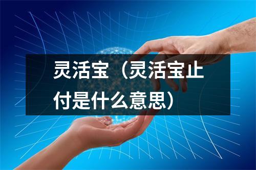 灵活宝（灵活宝止付是什么意思）