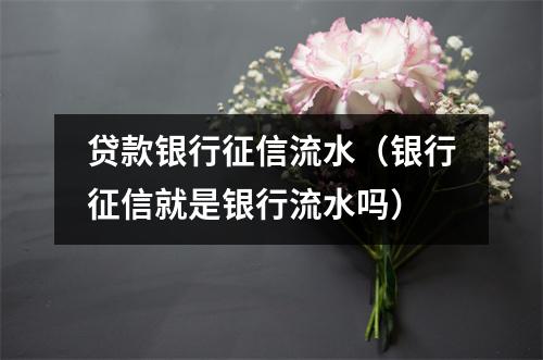 贷款银行征信流水（银行征信就是银行流水吗）