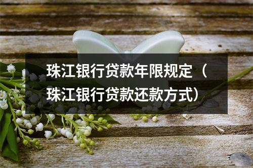 珠江银行贷款年限规定（珠江银行贷款还款方式）
