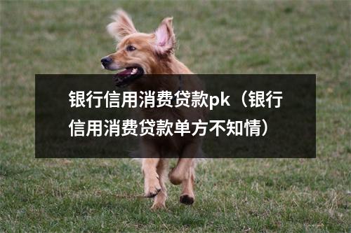 银行信用消费贷款pk（银行信用消费贷款单方不知情）