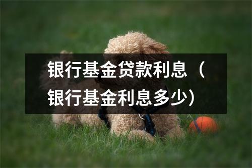 银行基金贷款利息（银行基金利息多少）