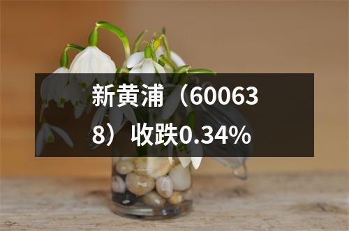 新黄浦（600638）收跌0.34%
