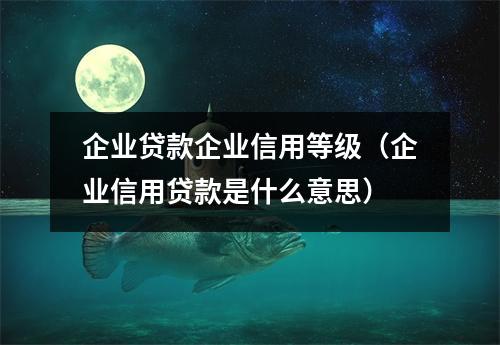 企业贷款企业信用等级（企业信用贷款是什么意思）
