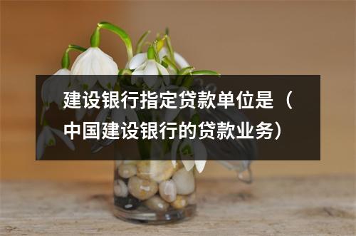 建设银行指定贷款单位是（中国建设银行的贷款业务）