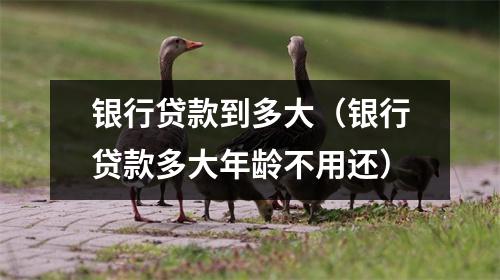 银行贷款到多大（银行贷款多大年龄不用还）