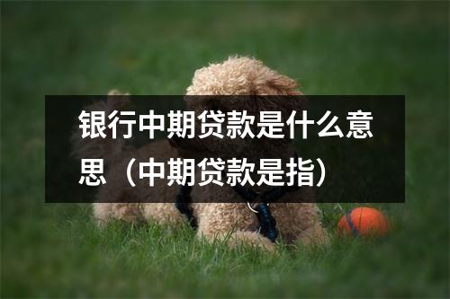 银行中期贷款是什么意思（中期贷款是指）