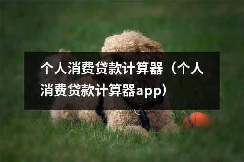 个人消费贷款计算器（个人消费贷款计算器app）