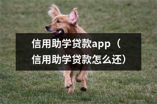 信用助学贷款app（信用助学贷款怎么还）