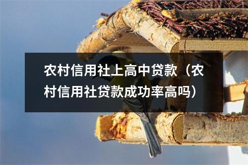 农村信用社上高中贷款（农村信用社贷款成功率高吗）