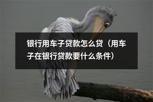 银行用车子贷款怎么贷（用车子在银行贷款要什么条件）