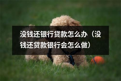 没钱还银行贷款怎么办（没钱还贷款银行会怎么做）