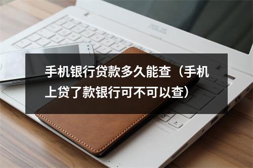 手机银行贷款多久能查（手机上贷了款银行可不可以查）