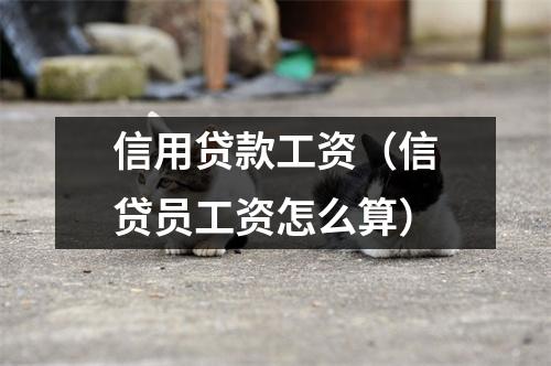 信用贷款工资（信贷员工资怎么算）