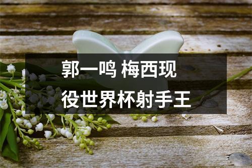 郭一鸣 梅西现役世界杯射手王