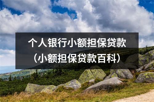 个人银行小额担保贷款（小额担保贷款百科）