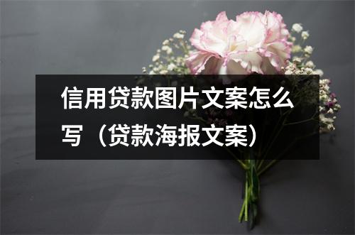 信用贷款图片文案怎么写（贷款海报文案）