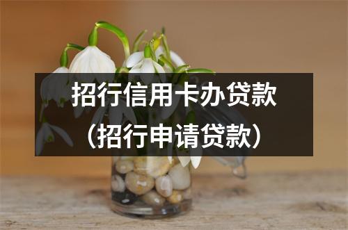 招行信用卡办贷款（招行申请贷款）