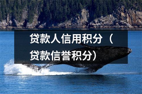 贷款人信用积分（贷款信誉积分）