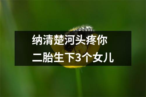 纳清楚河头疼你 二胎生下3个女儿