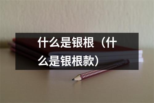 什么是银根（什么是银根款）