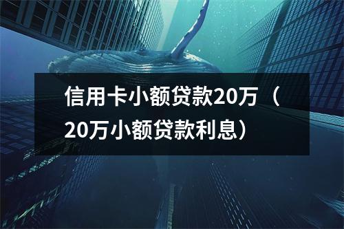 信用卡小额贷款20万（20万小额贷款利息）