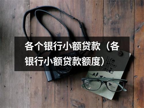 各个银行小额贷款（各银行小额贷款额度）