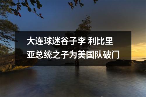 大连球迷谷子李 利比里亚总统之子为美国队破门