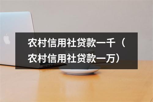 农村信用社贷款一千（农村信用社贷款一万）