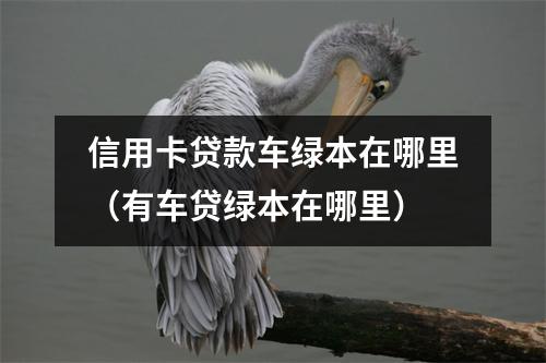 信用卡贷款车绿本在哪里（有车贷绿本在哪里）