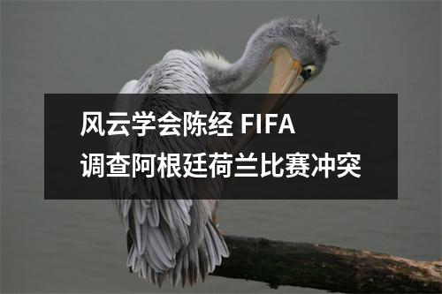 风云学会陈经 FIFA调查阿根廷荷兰比赛冲突