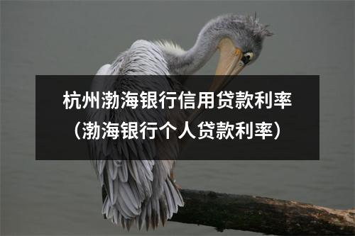 杭州渤海银行信用贷款利率（渤海银行个人贷款利率）