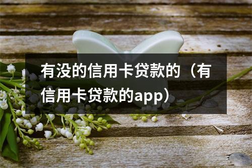 有没的信用卡贷款的（有信用卡贷款的app）